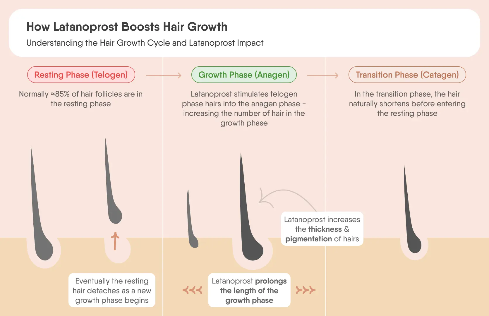 GHK-Cu + Minoxidil: The Powerhouse Duo for Hair Growth